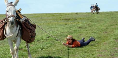 Cine francs en la Concha Acstica